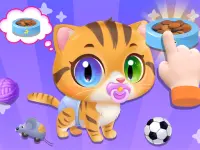 Baby Cat Daycare