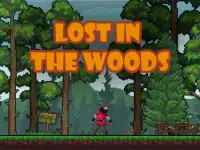 Lost in the Woods image