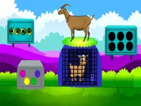 image bg Lamb Escape