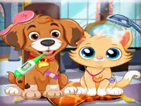 image bg Puppy Pet Vet Care
