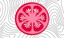 SliceItUp image