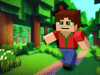 image bg Minicraft Insane