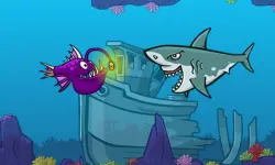 sea fish image