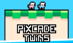 Pixcade Twins image