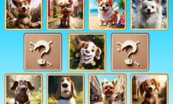 Doggie Duo Discoveries image