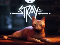 Stray image