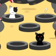 Catch The Cat