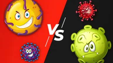 Crazy Games 1 Player image