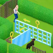 Crazygames.com Online