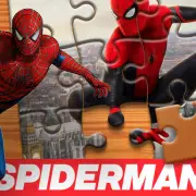Spider Evolution Game